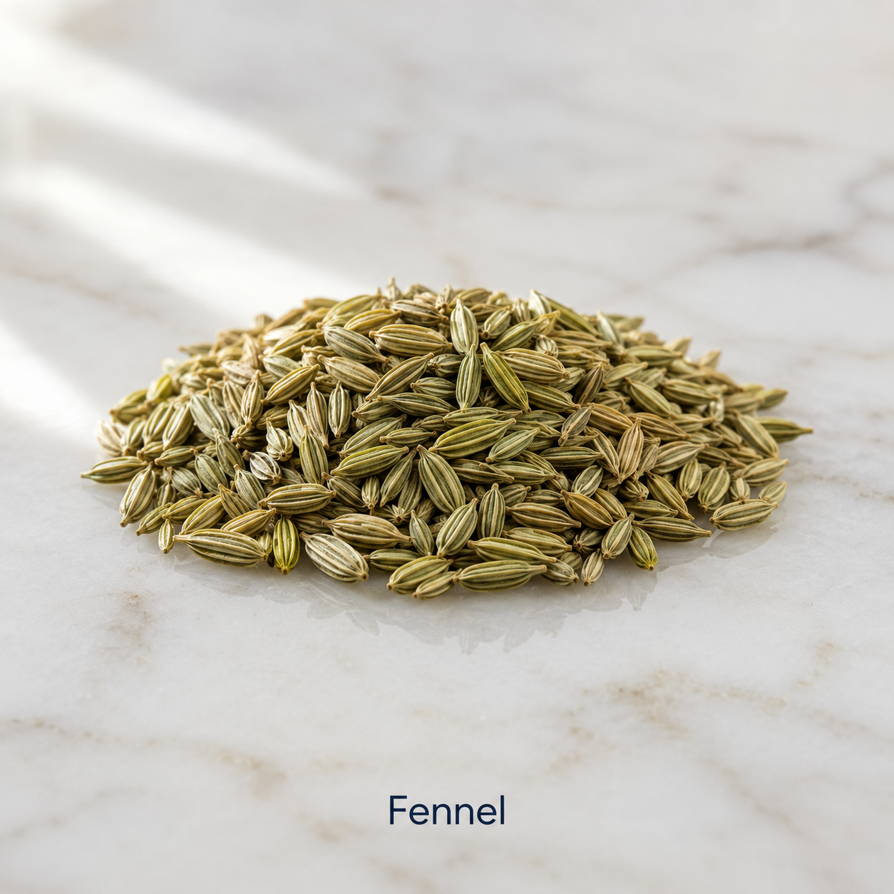 Fennel